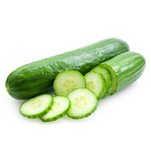 Dưa chuột Thái Lan