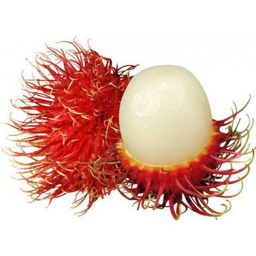 Chôm Chôm miền nam