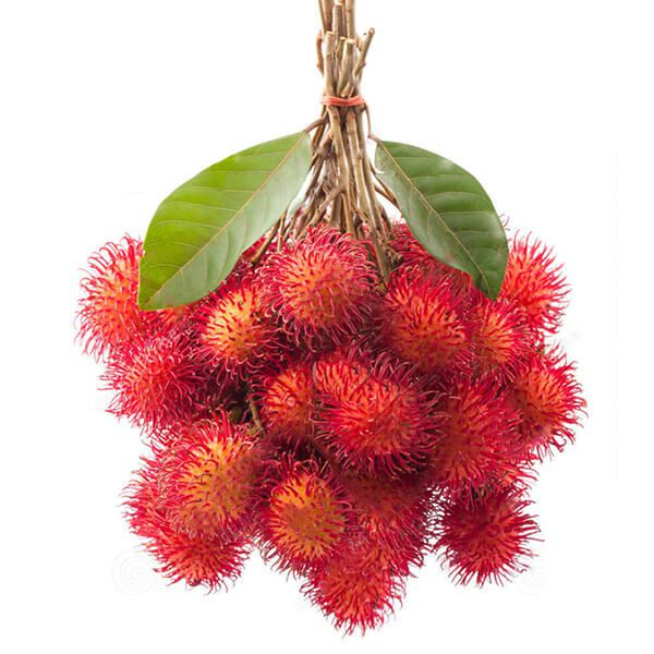 Chôm Chôm miền nam